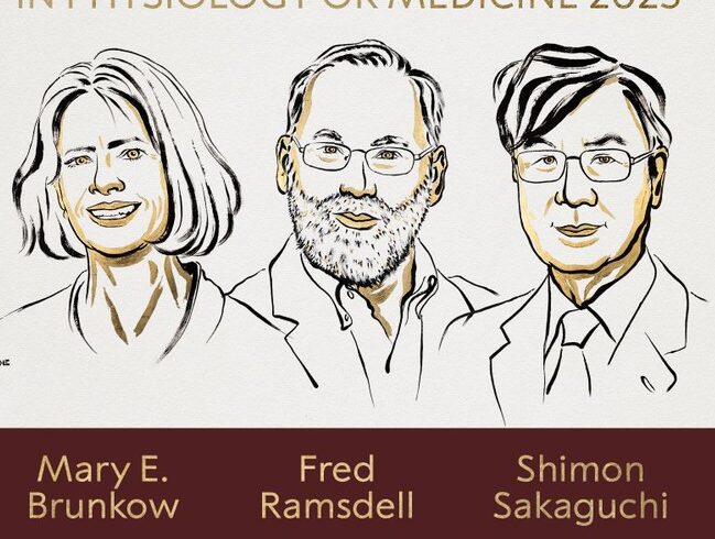 Alt="Nobel Ramsdell 2025 immunology"